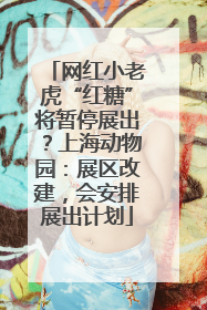网红小老虎“红糖”将暂停展出？上海动物园：展区改建，会安排展出计划