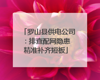 罗山县供电公司：排查配网隐患 精准补齐短板