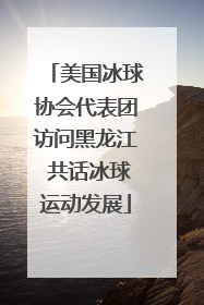 美国冰球协会代表团访问黑龙江 共话冰球运动发展