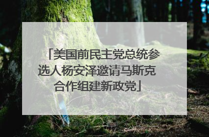 美国前民主党总统参选人杨安泽邀请马斯克合作组建新政党