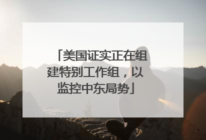 美国证实正在组建特别工作组，以监控中东局势