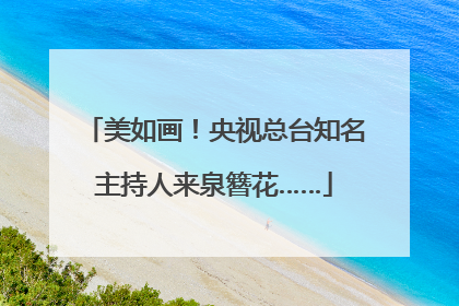美如画！央视总台知名主持人来泉簪花……
