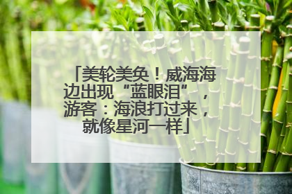 美轮美奂！威海海边出现“蓝眼泪”，游客：海浪打过来，就像星河一样