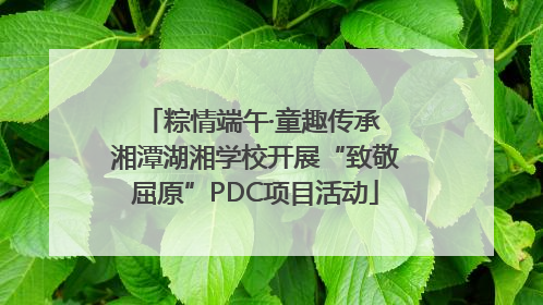 粽情端午·童趣传承 湘潭湖湘学校开展“致敬屈原”PDC项目活动