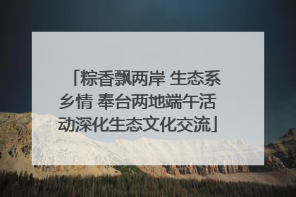 粽香飘两岸 生态系乡情 奉台两地端午活动深化生态文化交流