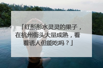 红彤彤水灵灵的果子，在杭州街头大量成熟，看着诱人但能吃吗？