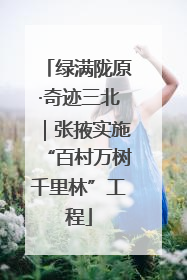 绿满陇原·奇迹三北｜张掖实施“百村万树千里林”工程