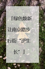 绿色焕新让南京路步行街“逆生长”