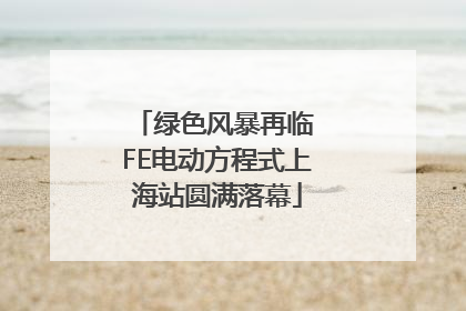 绿色风暴再临 FE电动方程式上海站圆满落幕