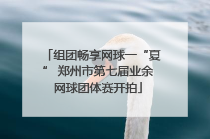 组团畅享网球一“夏” 郑州市第七届业余网球团体赛开拍