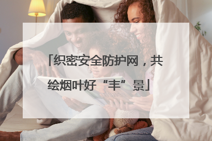 织密安全防护网，共绘烟叶好“丰”景