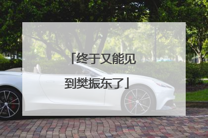 终于又能见到樊振东了
