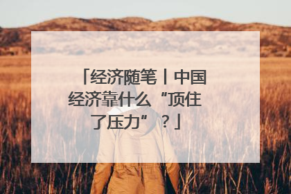 经济随笔丨中国经济靠什么“顶住了压力”？