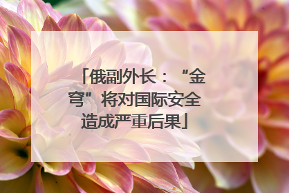 俄副外长：“金穹”将对国际安全造成严重后果