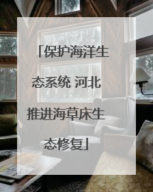 保护海洋生态系统 河北推进海草床生态修复