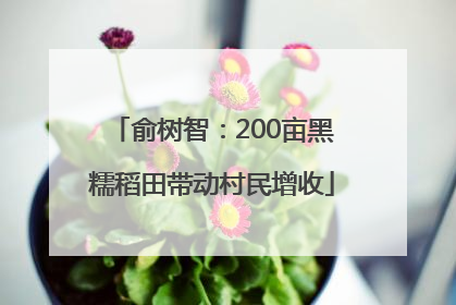 俞树智：200亩黑糯稻田带动村民增收