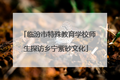 临汾市特殊教育学校师生探访乡宁紫砂文化