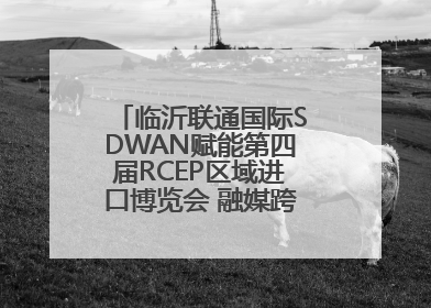临沂联通国际SDWAN赋能第四届RCEP区域进口博览会 融媒跨境直播畅行无阻