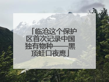 临沧这个保护区首次记录中国独有物种——黑顶蛙口夜鹰