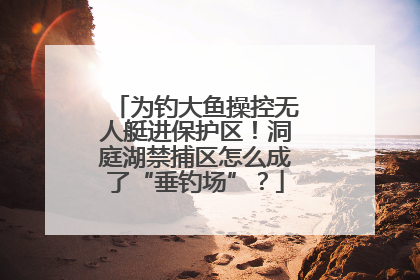 为钓大鱼操控无人艇进保护区！洞庭湖禁捕区怎么成了“垂钓场”？
