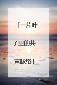 一片叶子里的共富脉络