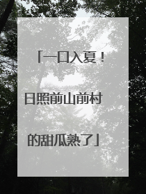 一口入夏！日照前山前村的甜瓜熟了