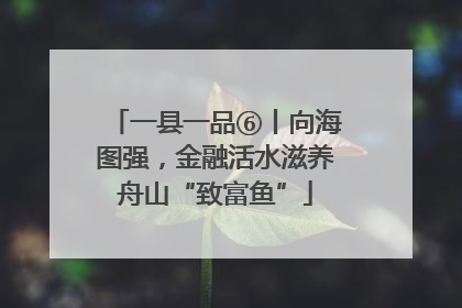 一县一品⑥丨向海图强，金融活水滋养舟山“致富鱼”