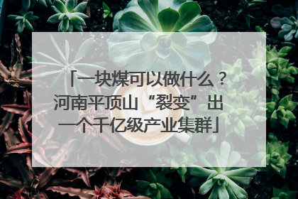 一块煤可以做什么？河南平顶山“裂变”出一个千亿级产业集群