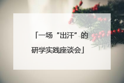 一场“出汗”的研学实践座谈会