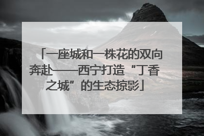 一座城和一株花的双向奔赴——西宁打造“丁香之城”的生态掠影