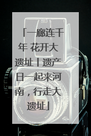 一廊连千年 花开大遗址丨遗产日一起来河南，行走大遗址