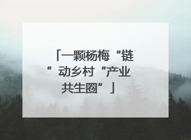 一颗杨梅“链”动乡村“产业共生圈”