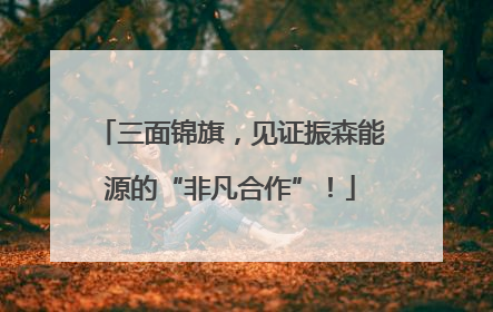 三面锦旗，见证振森能源的“非凡合作”！