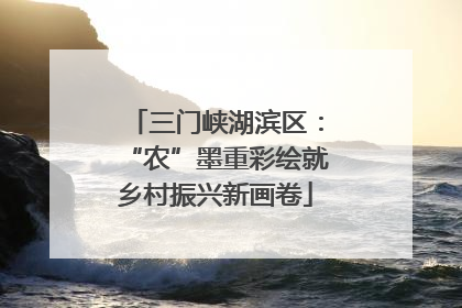三门峡湖滨区：“农”墨重彩绘就乡村振兴新画卷