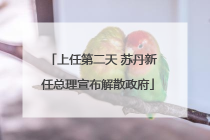上任第二天 苏丹新任总理宣布解散政府