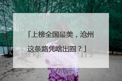 上榜全国最美，沧州这条路凭啥出圈？