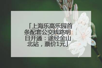 上海乐高乐园首条配套公交线路明日开通：途经金山北站，票价1元