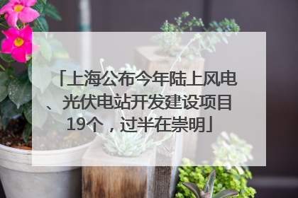 上海公布今年陆上风电、光伏电站开发建设项目19个，过半在崇明