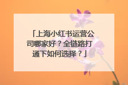 上海小红书运营公司哪家好？全链路打通下如何选择？
