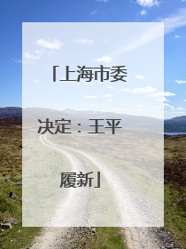 上海市委决定：王平履新