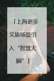 上海更多文旅场景引入“智慧大脑”
