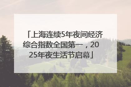 上海连续5年夜间经济综合指数全国第一，2025年夜生活节启幕