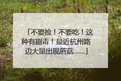 不要捡！不要吃！这种有剧毒！最近杭州路边大量出现蘑菇……
