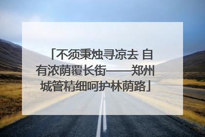 不须秉烛寻凉去 自有浓荫覆长街——郑州城管精细呵护林荫路