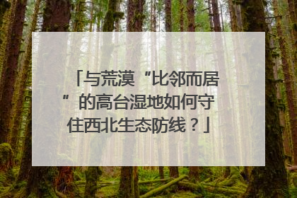 与荒漠“比邻而居”的高台湿地如何守住西北生态防线？