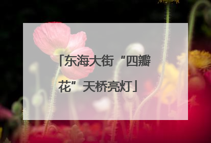 东海大街“四瓣花”天桥亮灯