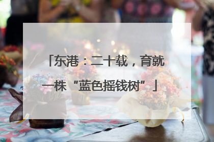 东港：二十载，育就一株“蓝色摇钱树”