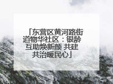 东营区黄河路街道物华社区：银龄互助焕新颜 共建共治暖民心
