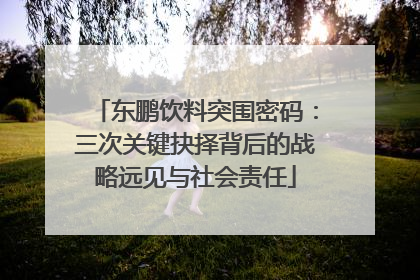 东鹏饮料突围密码：三次关键抉择背后的战略远见与社会责任