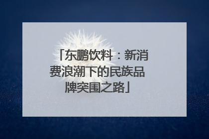东鹏饮料：新消费浪潮下的民族品牌突围之路